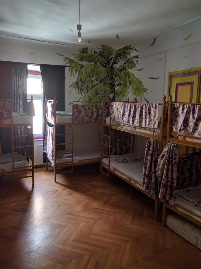 Bella Vita Hostel Temeşvar Dış mekan fotoğraf